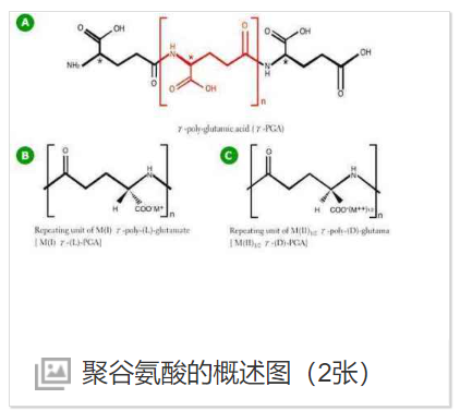 PGA-PEG-ICG聚谷氨酸-聚乙二醇-吲哚菁绿