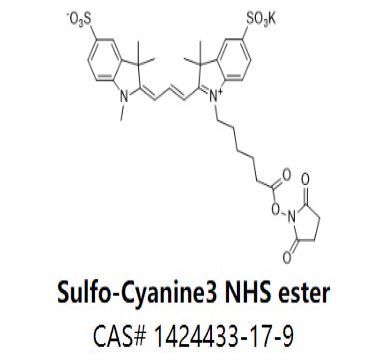 Sulfo-Cyanine3 NHS ester