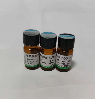 大鼠凝血因子Ⅻ(FⅫ)Elisa试剂盒