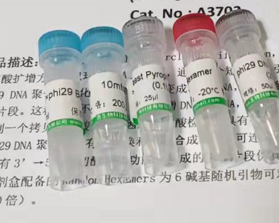 人杀伤细胞免疫球蛋白样受体(KIR)Elisa试剂盒