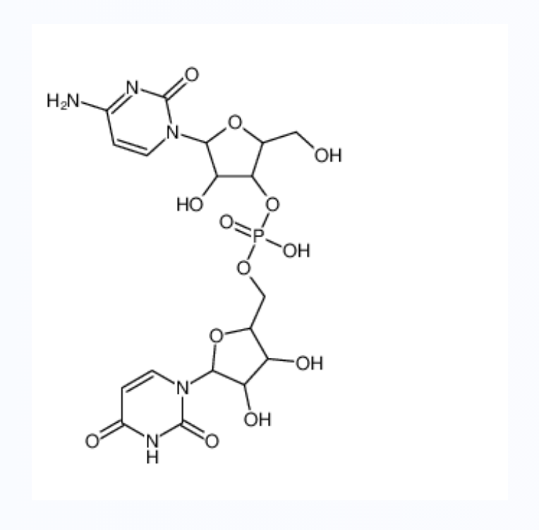 cytidylyl-(3'->5')-uridine