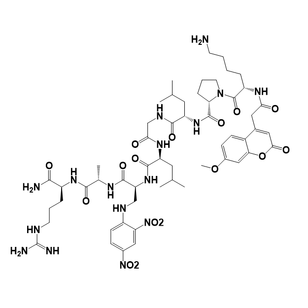 MMPs substrate Fluorogenic荧光底物肽