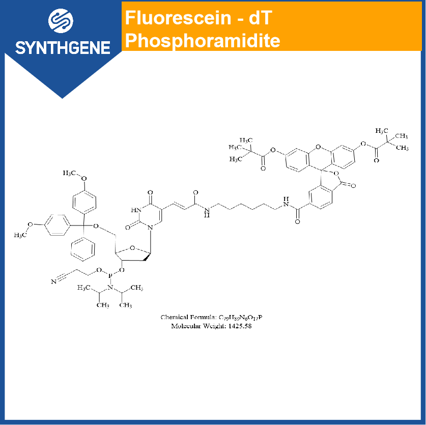 5'-Dimethoxytrityloxy-5-[N-((3', 6'-dipivaloylfluoresceinyl)-aminohexyI)-3-acrylimido]-2'-deoxyuridine 3'-[(2-cyanoethyl)-N, N-diisopropyD]-phosphoramidite