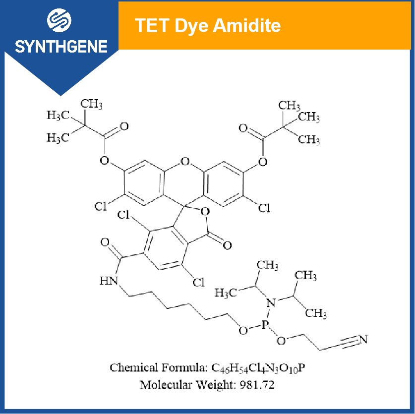 5'-Tetrachloro-Fluorescein Phosphoramidite); 6-(4,7,2', 7'-Tetrachloro-3', 6'-dipivaloylfluoresceinyl-6-carboxamido)-hexyl-1-O-[(2-cyanoethyI)-(N, N-diisopropyD)]-phosphoramidite