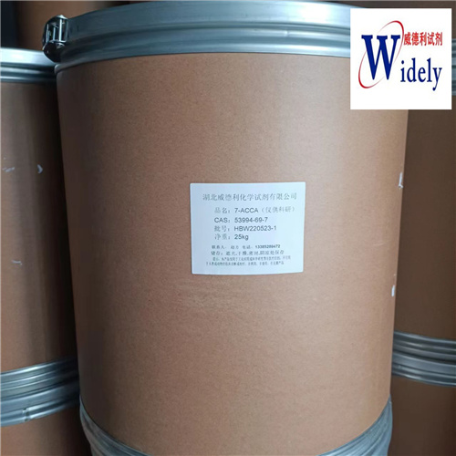 7-ACCA  厂家现货直发  资料齐全 提供图谱  