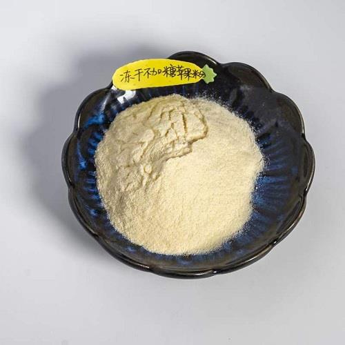 冻干不加糖苹果粉.jpg