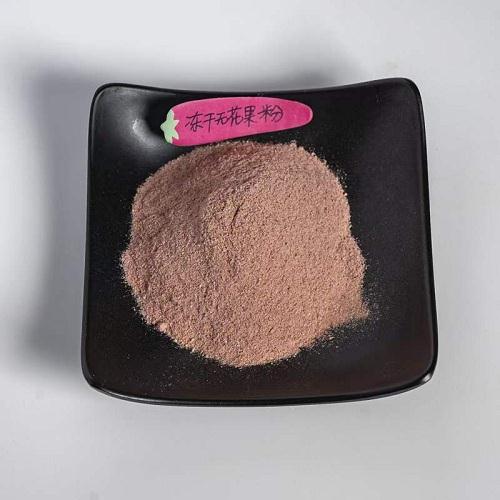 冻干无花果粉.jpg
