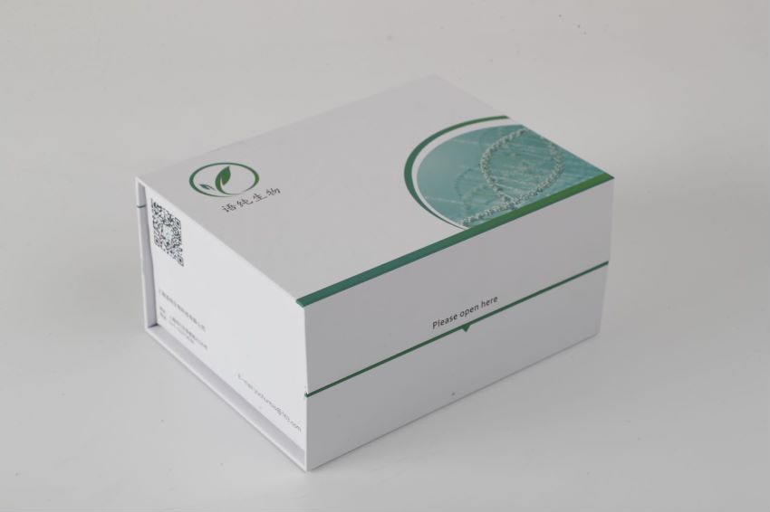 RPMI1640  (无酚红)