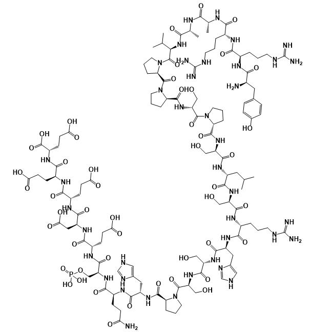 Phospho-Glycogen Synthase Peptide-2(substrate) 851366-97-7.png Phospho-Glycogen Synthase Peptide-2(substrate) 851366-97-7.png