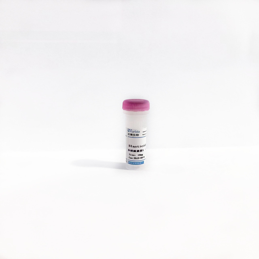 超快转膜缓冲液（20X）