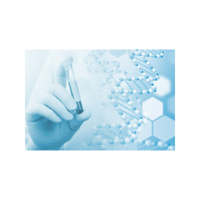 NH2-UIO-66(Zr)金属有机骨架