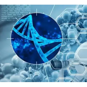 DMPE-ICG 二肉豆蔻酰基磷脂酰乙醇胺-吲哚菁绿