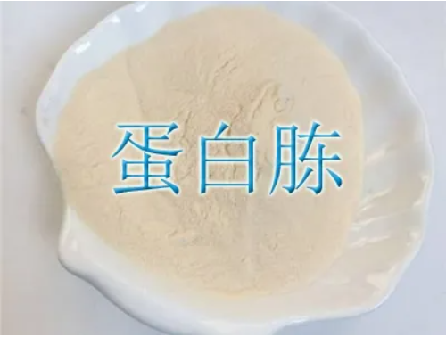 蛋白胨