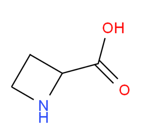 环丁氨酸