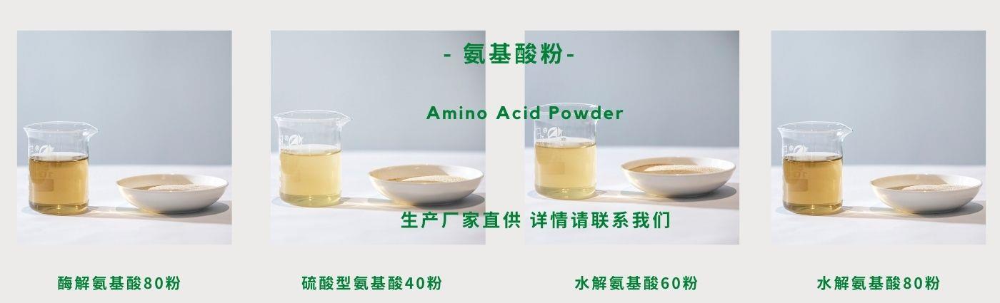 氨基酸粉.jpg