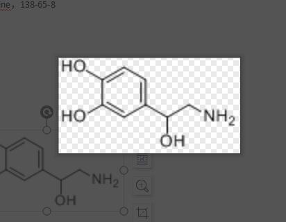 消旋去甲肾上腺素