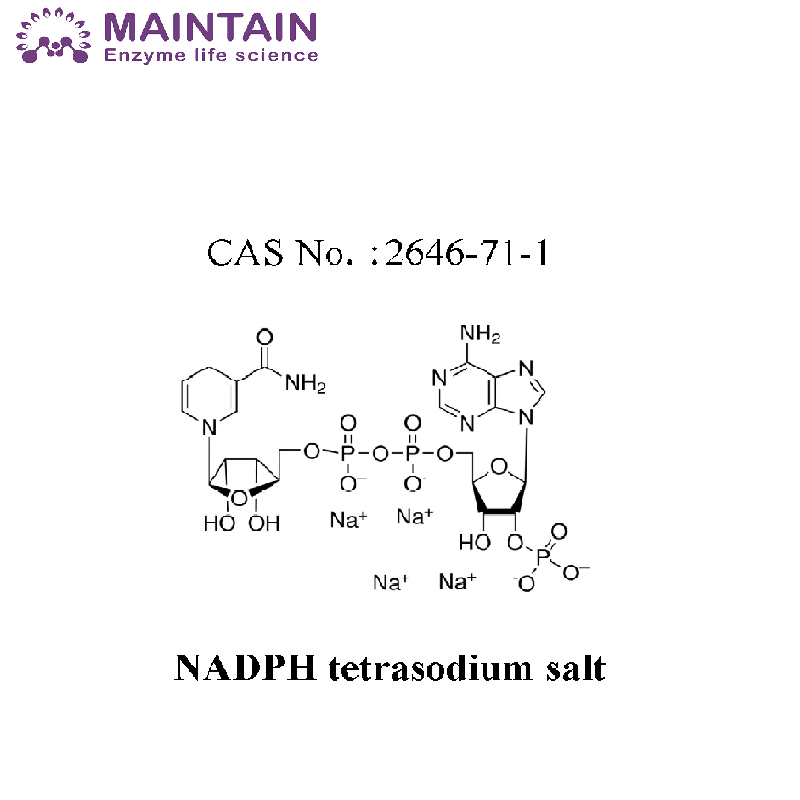 β-烟酰胺腺嘌呤二核苷酸还原四钠盐水合物