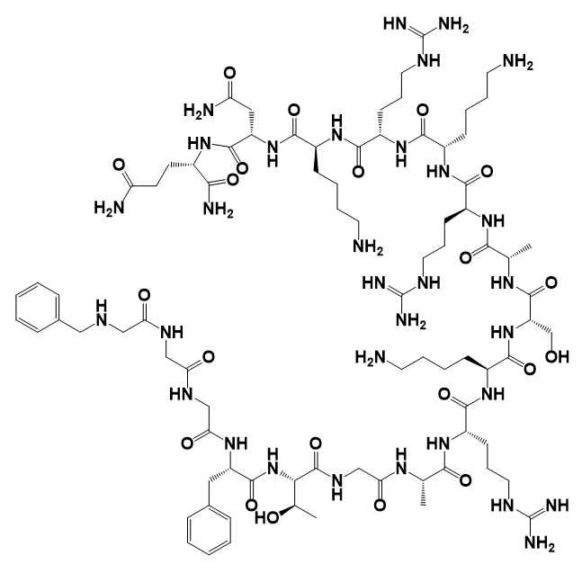 竞争性沉默拮抗剂