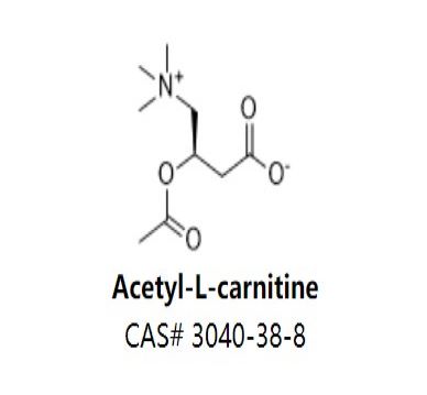 Acetyl-L-carnitine