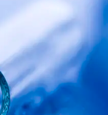 狗外周血单个核细胞分离试剂盒PBMC分离液