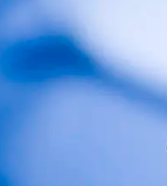 狗PBMC分离试剂盒 狗PBMC分离液