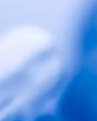 兔外周血单个核细胞分离试剂盒PBMC分离液