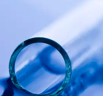 豚鼠PBMC分离试剂盒 豚鼠PBMC分离液