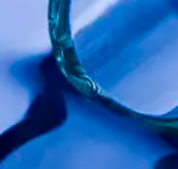 人CD8+T细胞分选试剂盒，阴选 CD8+ T Cell Isolation Kit