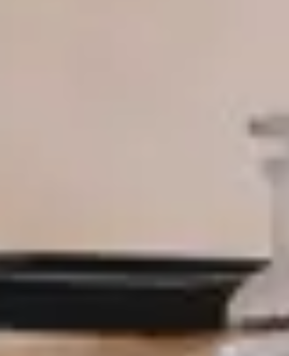 小鼠CD4+T细胞阳选试剂盒 CD4+ T Cell Selection Kit