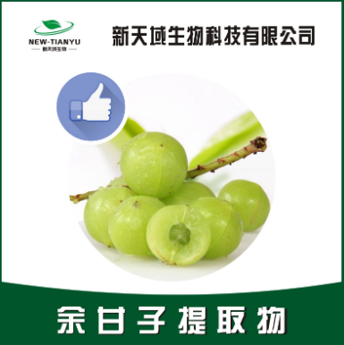 荷叶提取物 厂家直销 质量保障