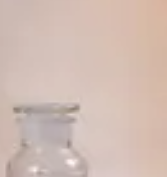 小鼠CD56+ 细胞阳选试剂盒 CD56+ NK Cells Selection Kit