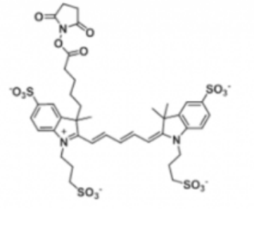 Alexa Fluor 647 NHS ester/琥珀酰亚胺活化酯