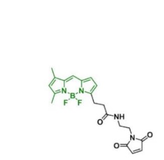 BDP FL maleimide/MAL/马来酰亚胺