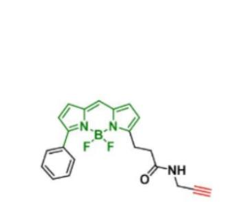 BDP R6G alkyne/炔基炔烃