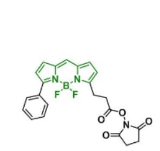 BDP R6G NHS ester/琥珀酰亚胺活化酯