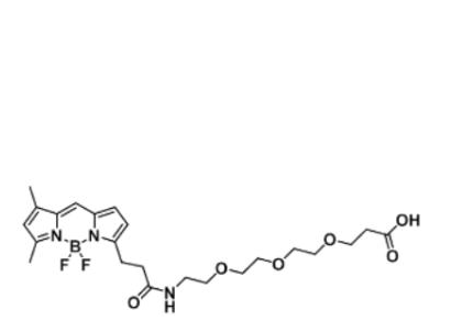 BODIPY FL-PEG3-COOH/carboxylic acid/羧基羧酸