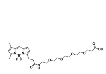 BODIPY FL-PEG4-COOH/carboxylic acid/羧基羧酸