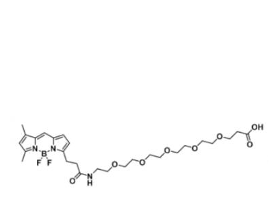 BODIPY FL-PEG6-COOH/carboxylic acid/羧基羧酸