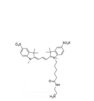 水溶性Cy3 C2 NH2/氨基