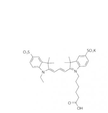Sulfo-Cy3 COOH/羧基羧酸(Ethyl)，水溶性CY3 COOH