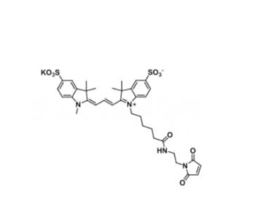 磺酸基Cy3-马来酰亚胺