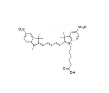 二磺酸基-Cy5-羧基