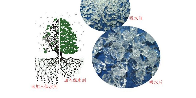 保水剂
