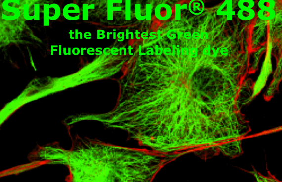 Super Fluor 488，Super Fluor 488,SE