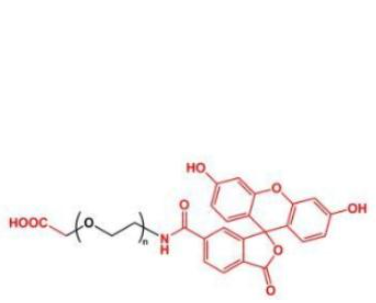 荧光素聚乙二醇羧基