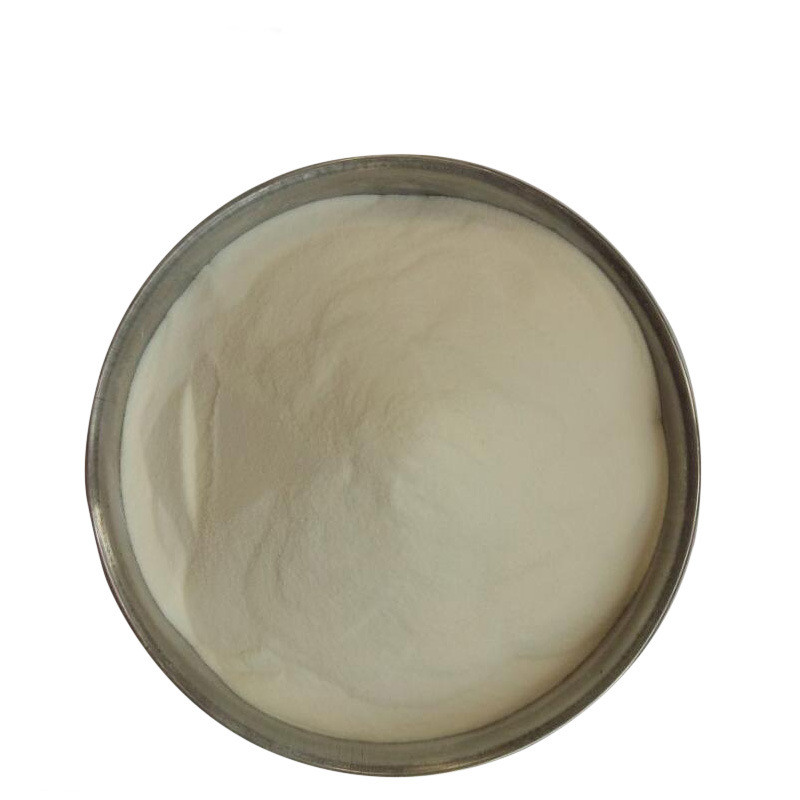 花生蛋白粉生产厂家