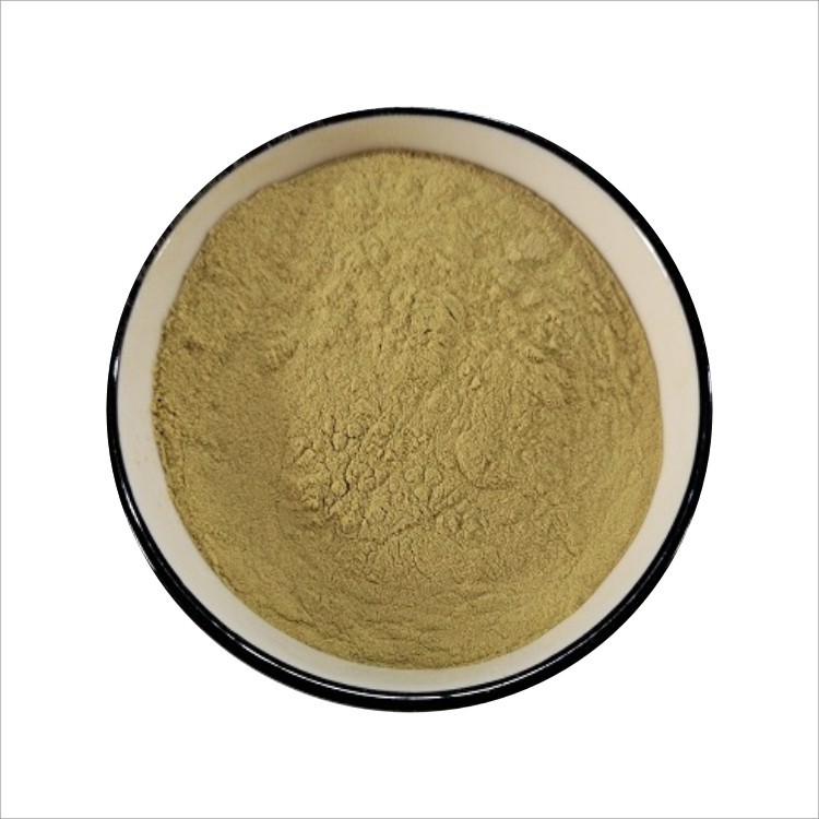 红景天苷 红景天甙 红景天提取物 扫罗玛尔布