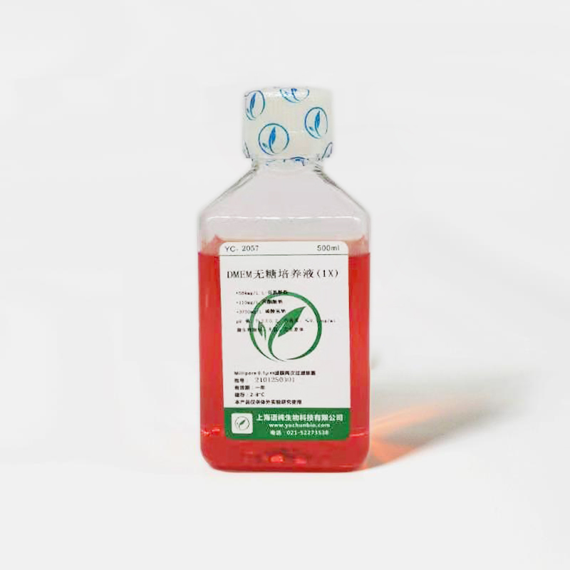 RPMI 1640培养基（无糖）