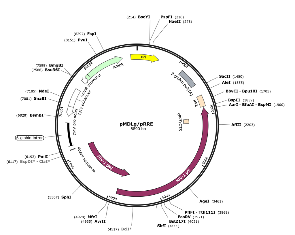 慢病毒包装质粒 pMDLg/pRRE 江苑生物