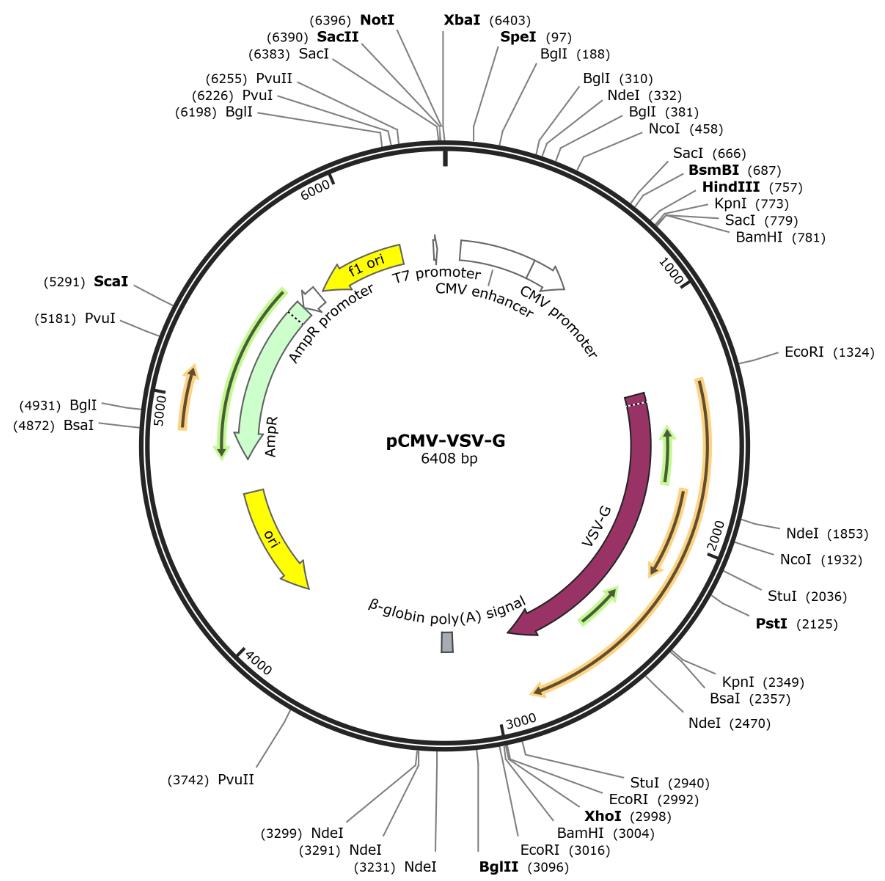 图片.png 图片.png
